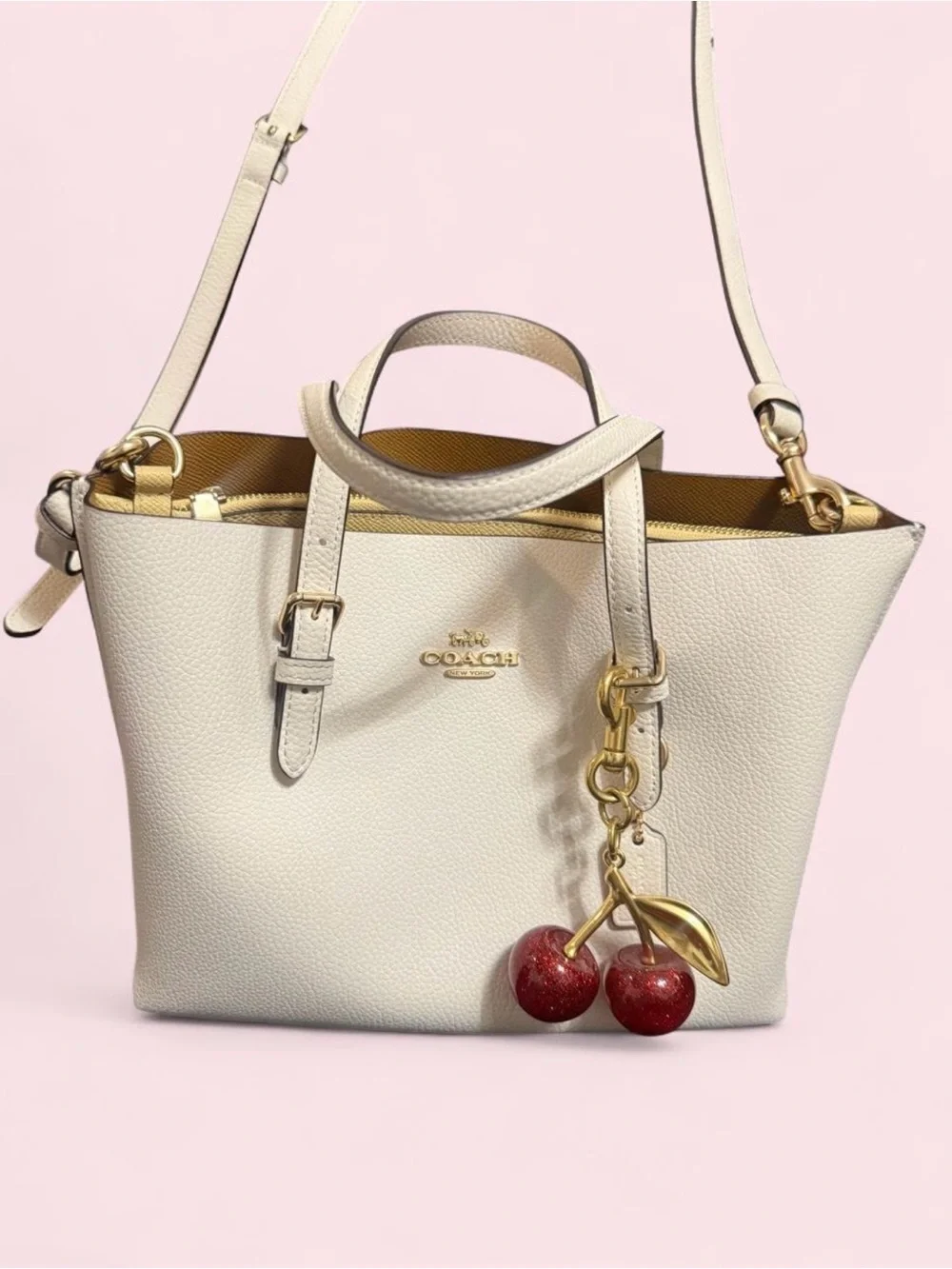 Coach Mollie Tote Bag 25